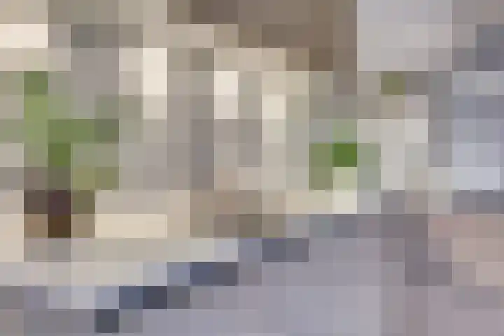 Molièrelaan 98 Eindhoven thumbnail 18