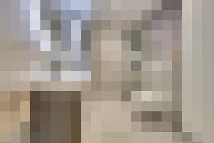 Molièrelaan 98 Eindhoven thumbnail 31