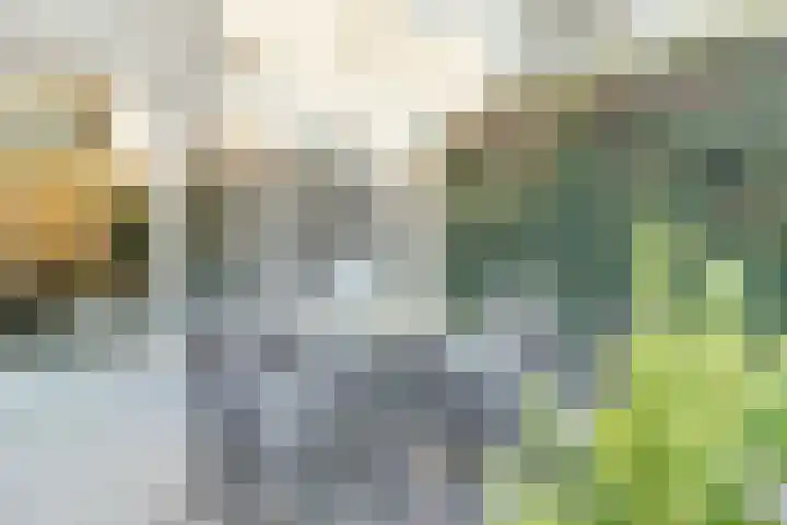 Molièrelaan 98 Eindhoven thumbnail 37