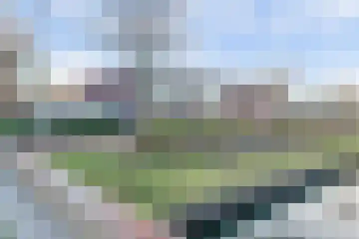 Molièrelaan 98 Eindhoven thumbnail 50