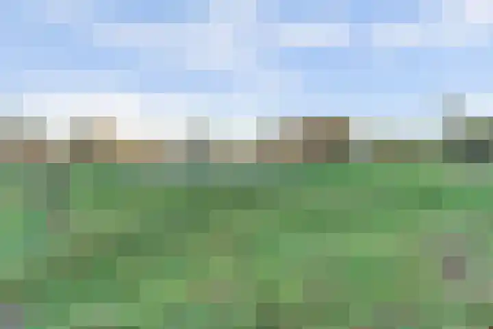 Molièrelaan 98 Eindhoven thumbnail 53