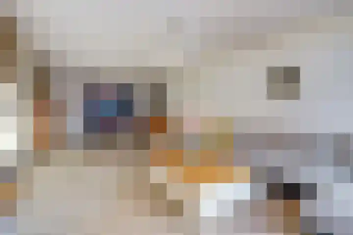Molièrelaan 98 Eindhoven thumbnail 8