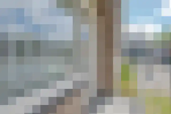 Molièreweg 641 Rotterdam thumbnail 12