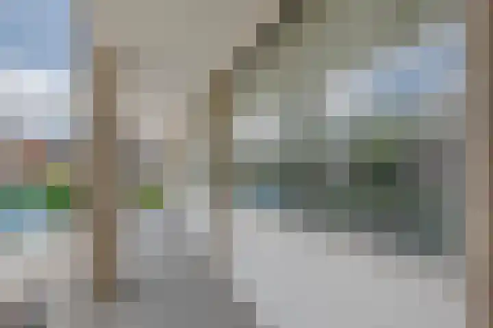 Molièreweg 641 Rotterdam thumbnail 7