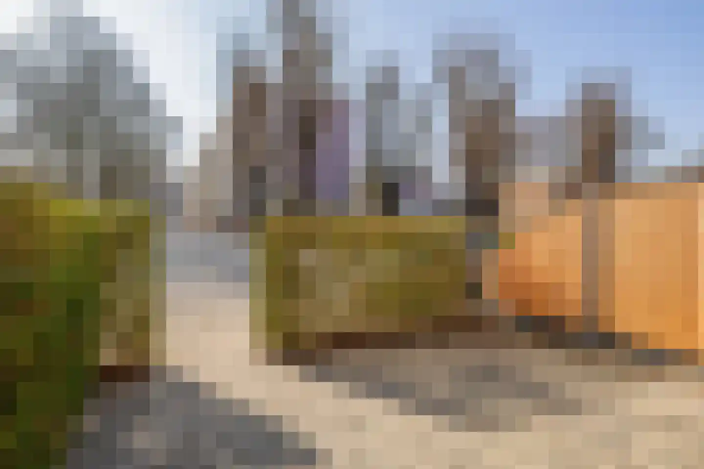 Molièreweg 87 Rotterdam thumbnail 6
