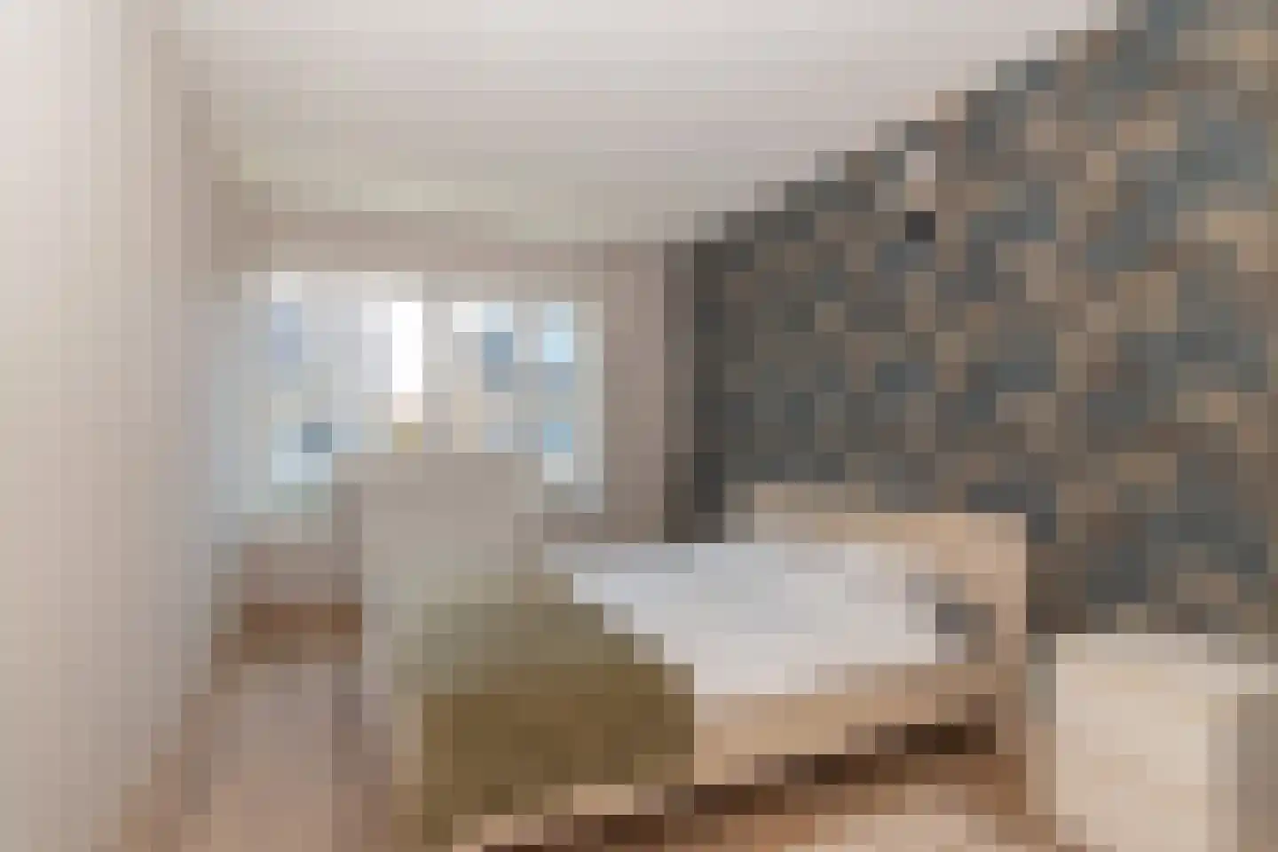 Molièrezijde 8 Zoetermeer thumbnail 17