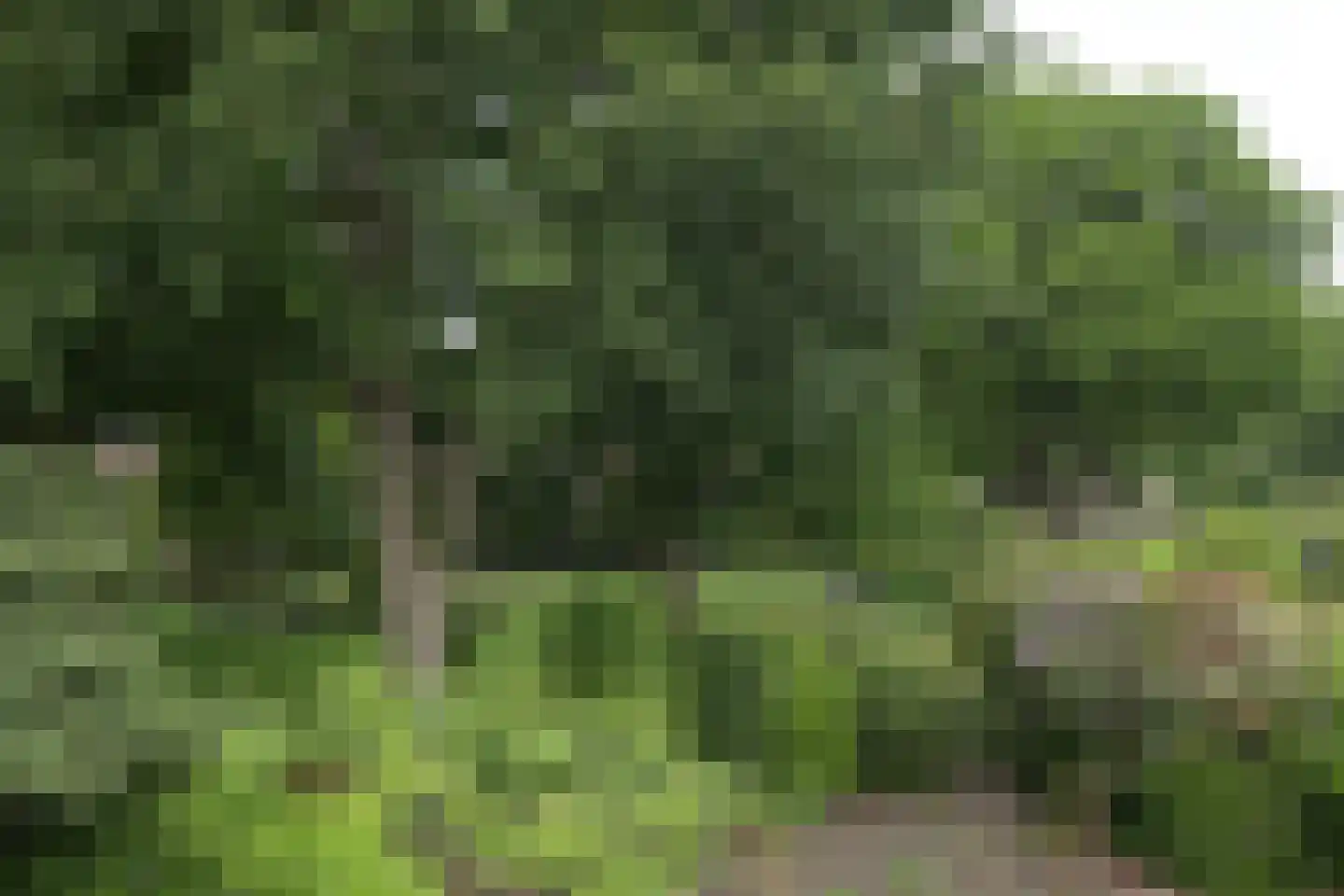 Molitorstraat 3 Putten thumbnail 24