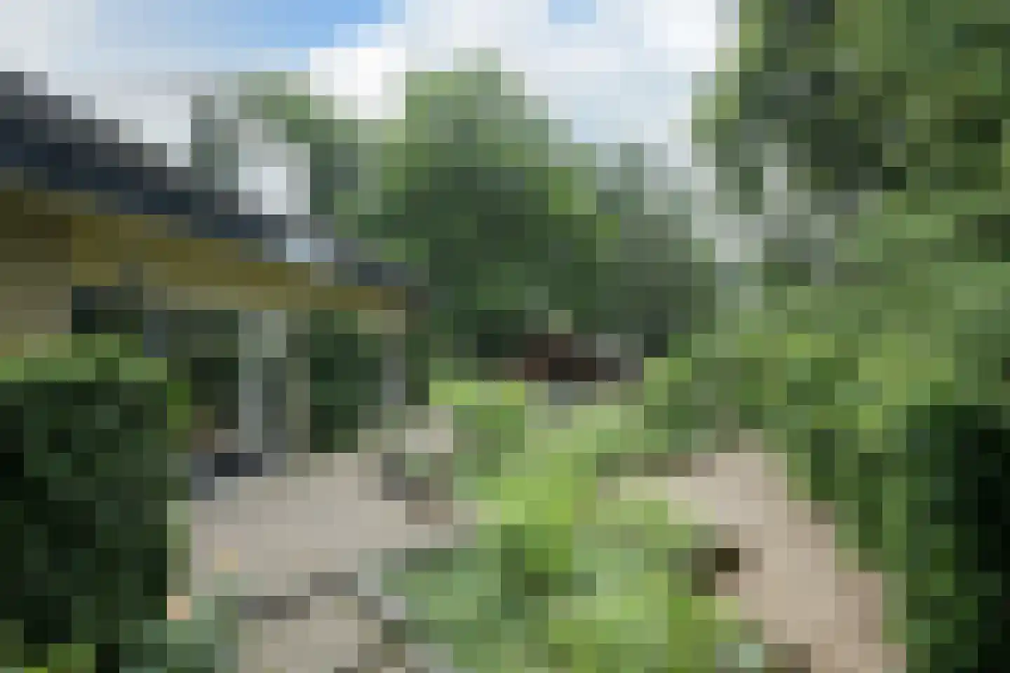 Molitorstraat 3 Putten thumbnail 26