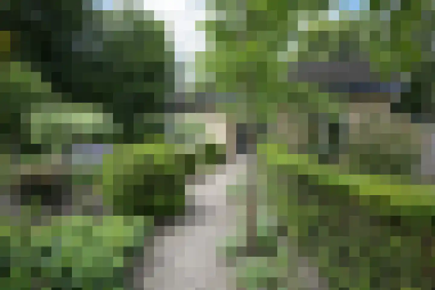 Molitorstraat 3 Putten thumbnail 4