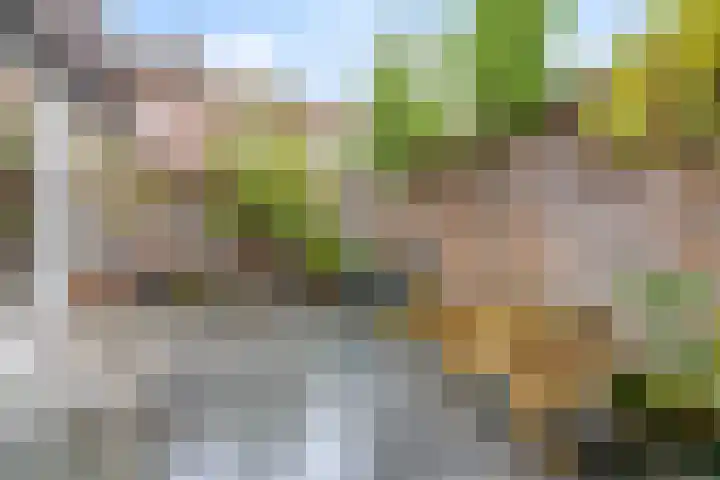 Moliusstraat 19 's-Hertogenbosch thumbnail 13
