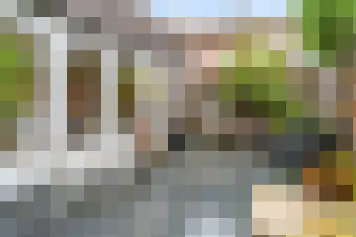 Moliusstraat 19 's-Hertogenbosch thumbnail 15