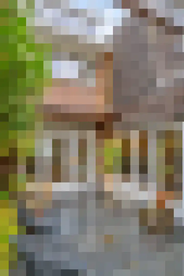 Moliusstraat 19 's-Hertogenbosch thumbnail 16