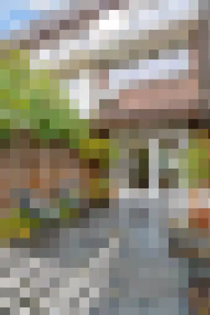 Moliusstraat 19 's-Hertogenbosch thumbnail 17