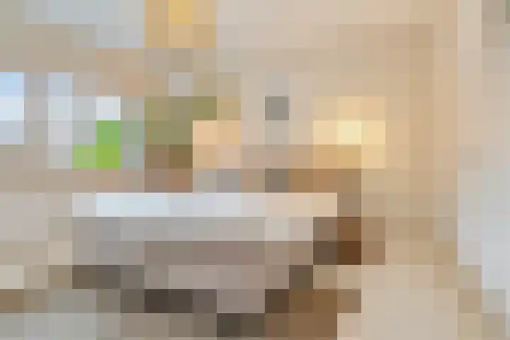 Moliusstraat 19 's-Hertogenbosch thumbnail 20