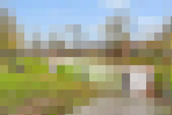 Moliusstraat 19 's-Hertogenbosch thumbnail 38