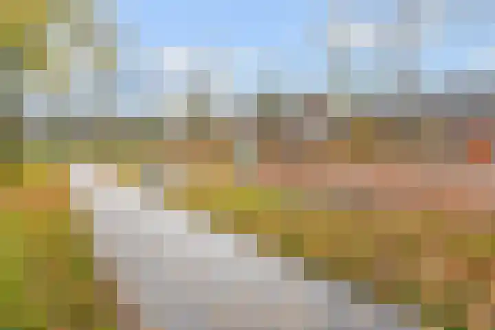 Moliusstraat 19 's-Hertogenbosch thumbnail 39