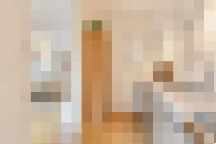 Moliusstraat 19 's-Hertogenbosch thumbnail 9