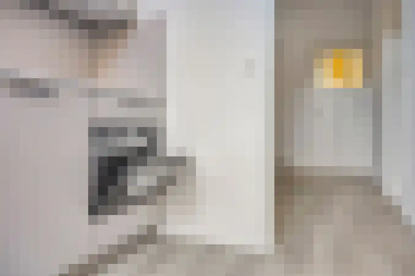 Moliusstraat 6 's-Hertogenbosch thumbnail 21