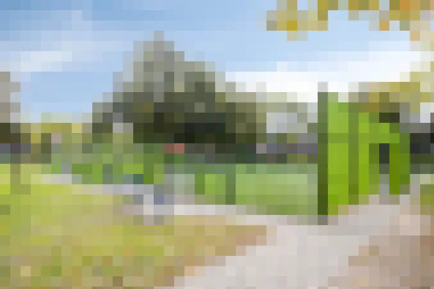 Moliusstraat 6 's-Hertogenbosch thumbnail 32