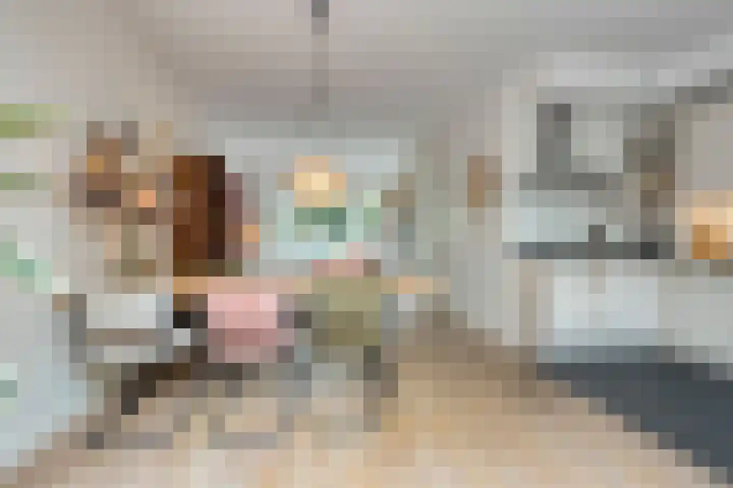 Molkade 2 Krommenie thumbnail 11