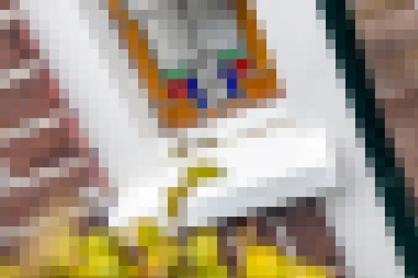 Molkade 2 Krommenie thumbnail 43