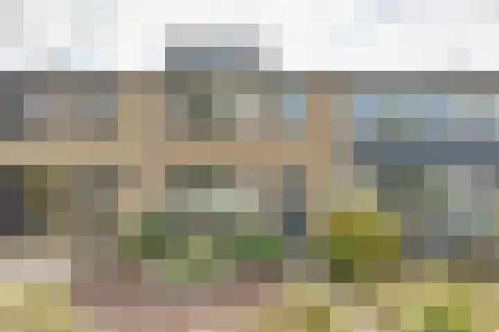 Molkampen 29 Eelde thumbnail 6