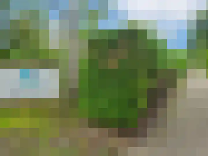 Molkenbosweg 1 A 6 Formerum thumbnail 19