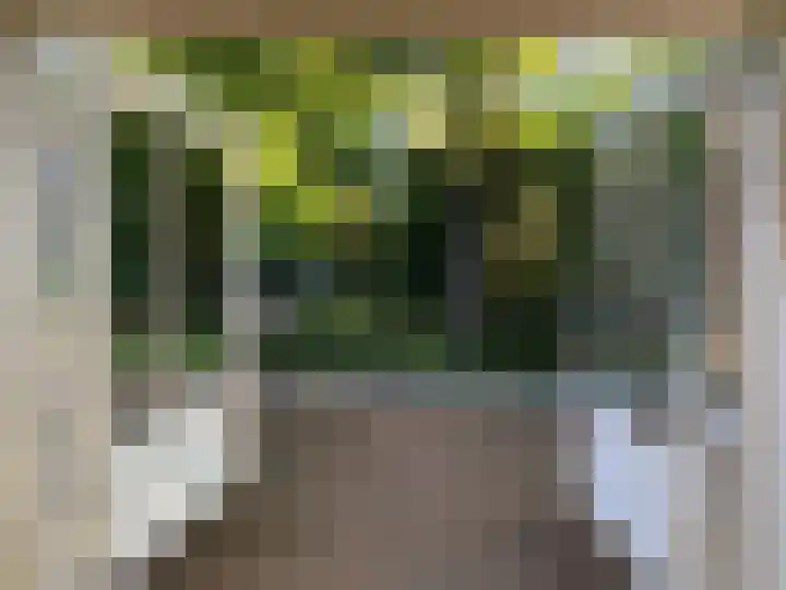 Mollaan 1 c Bloemendaal thumbnail 11