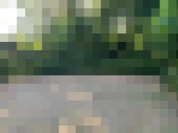 Mollaan 1 c Bloemendaal thumbnail 16