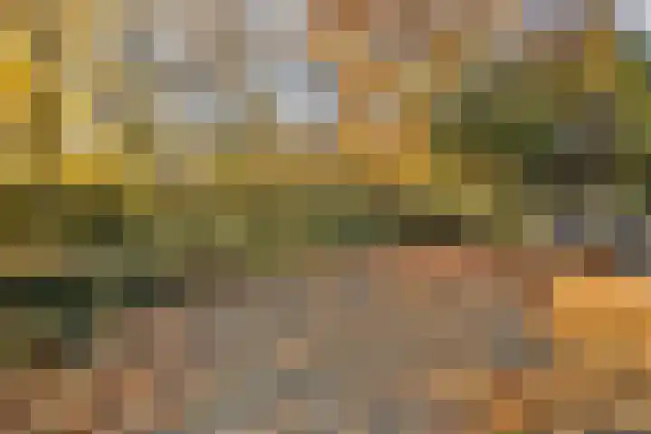 Mollaan 1 c Bloemendaal thumbnail 17