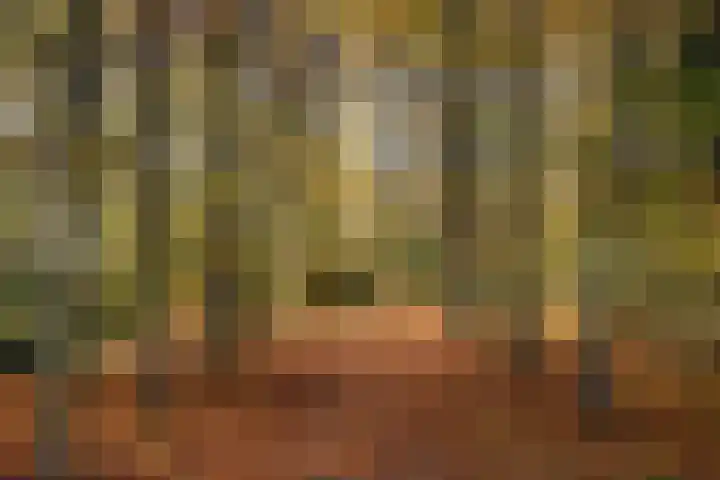 Mollaan 1 c Bloemendaal thumbnail 18