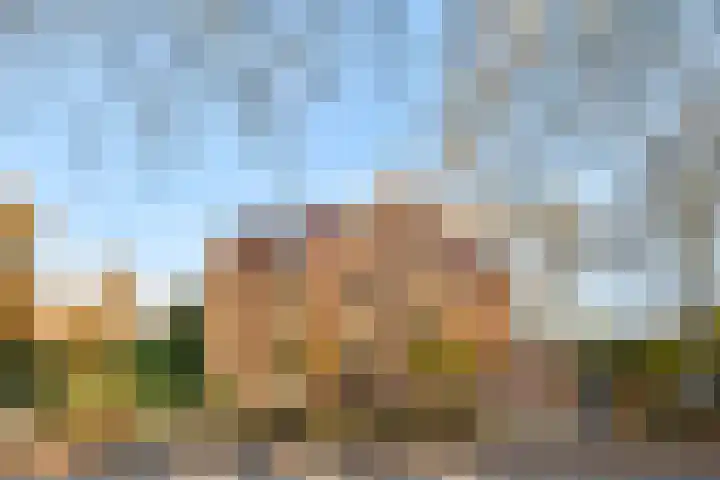 Mollaan 1 c Bloemendaal thumbnail 22
