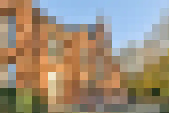 Mollaan 1 c Bloemendaal thumbnail 6