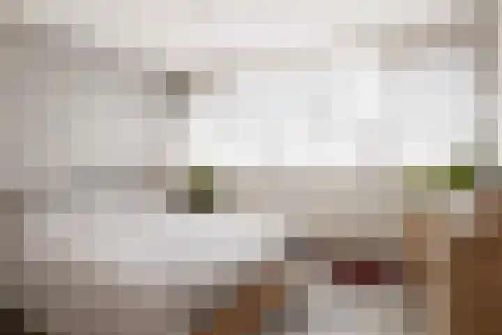 Mollegang 84 Oss thumbnail 13