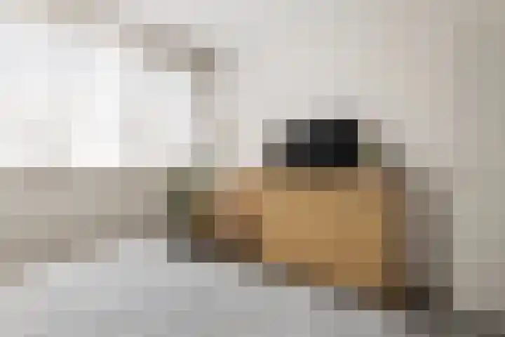 Mollegang 84 Oss thumbnail 14
