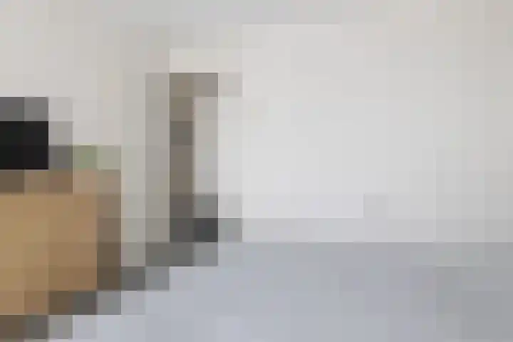 Mollegang 84 Oss thumbnail 15