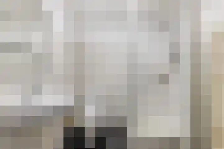 Mollegang 84 Oss thumbnail 21
