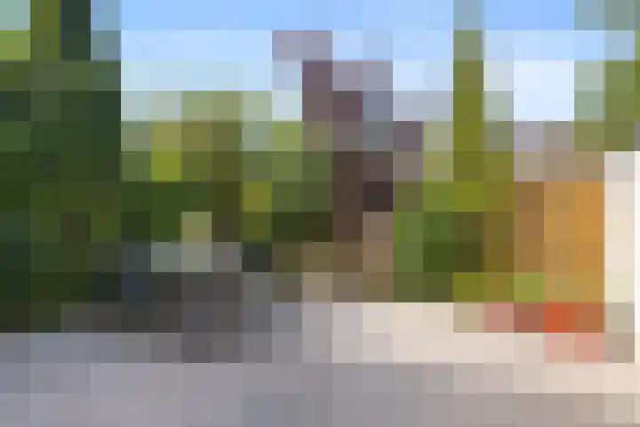 Mollegang 84 Oss thumbnail 26