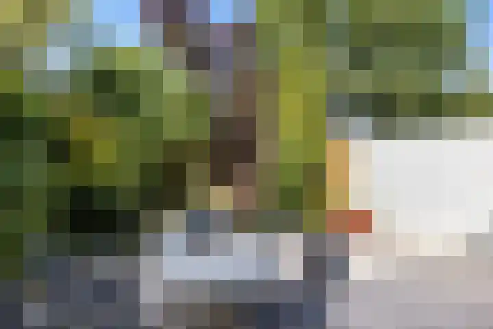 Mollegang 84 Oss thumbnail 27
