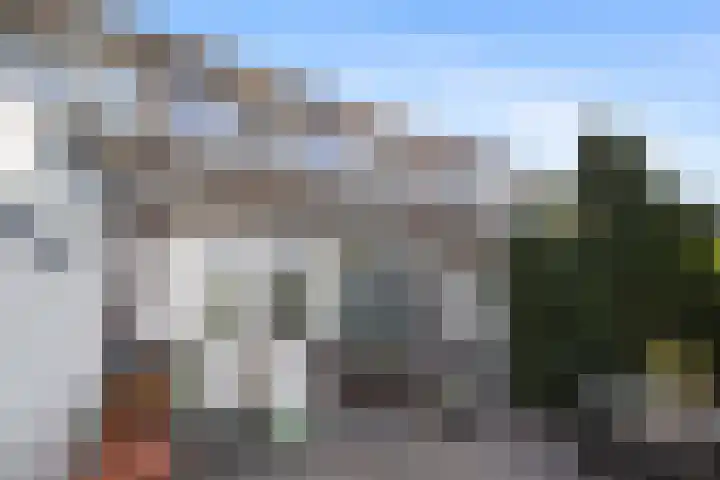 Mollegang 84 Oss thumbnail 29