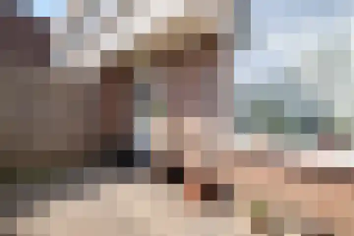 Mollegang 84 Oss thumbnail 31
