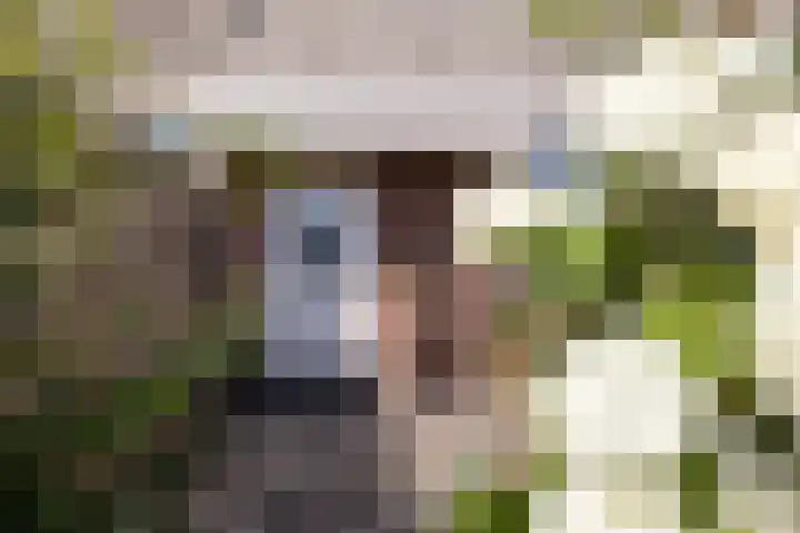 Mollegang 84 Oss thumbnail 32