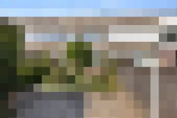 Mollegang 84 Oss thumbnail 33
