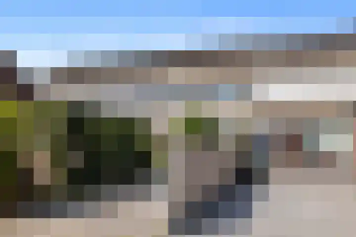Mollegang 84 Oss thumbnail 34