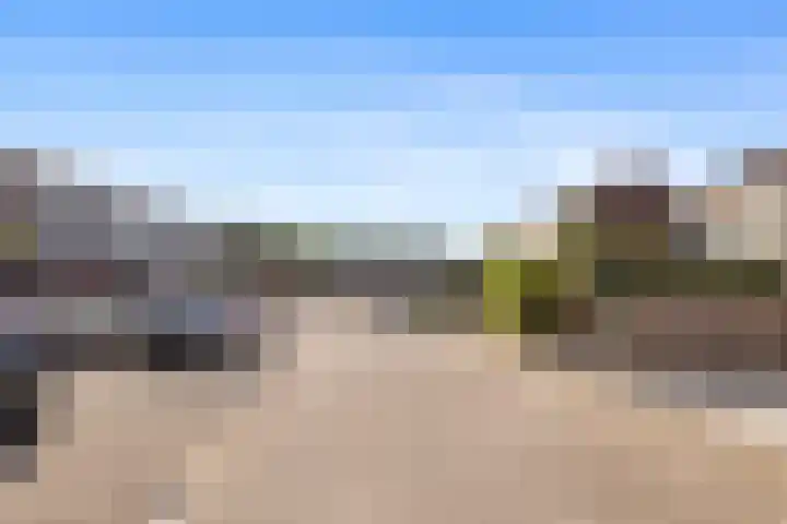 Mollegang 84 Oss thumbnail 35