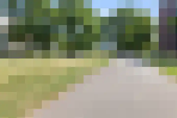 Mollegang 84 Oss thumbnail 38
