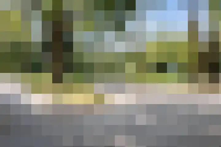 Mollegang 84 Oss thumbnail 39