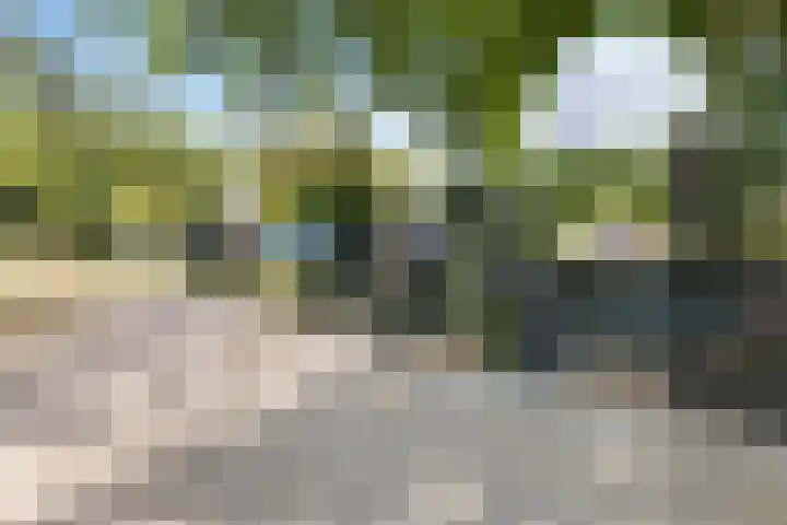 Mollegang 84 Oss thumbnail 40