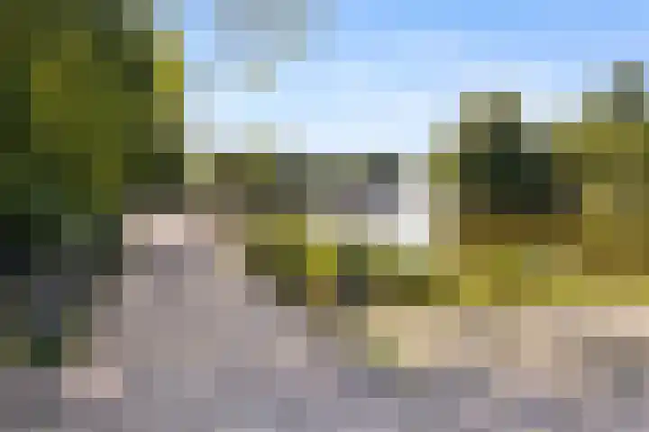 Mollegang 84 Oss thumbnail 41