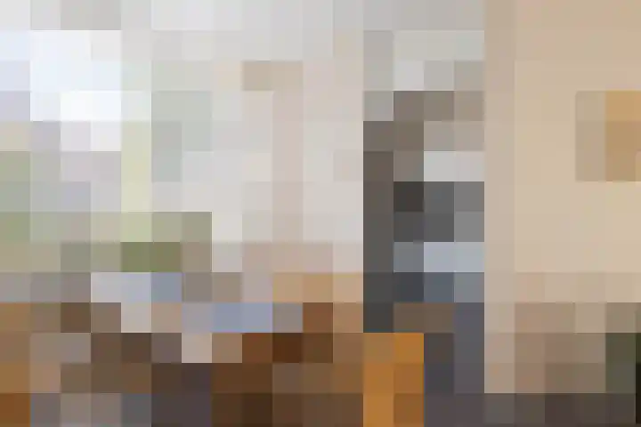 Mollegang 84 Oss thumbnail 6
